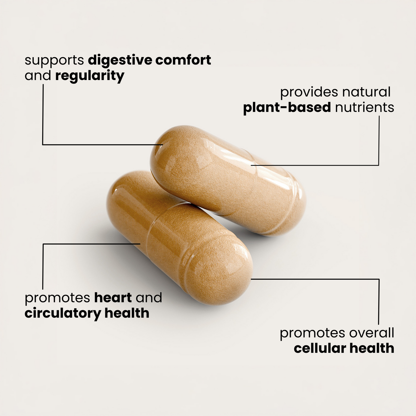 Antioxidants & Fiber Booster