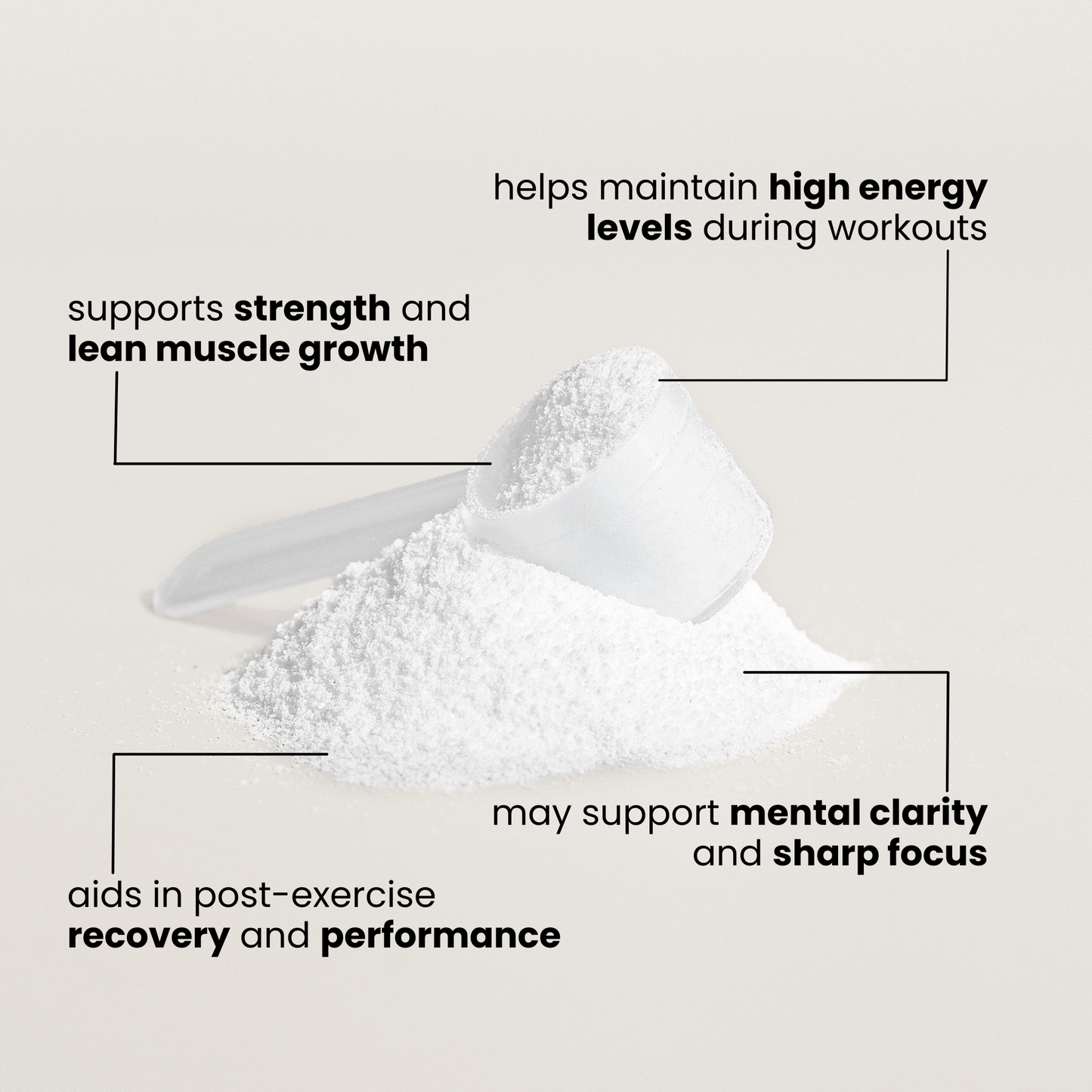 Mind + Muscle Science