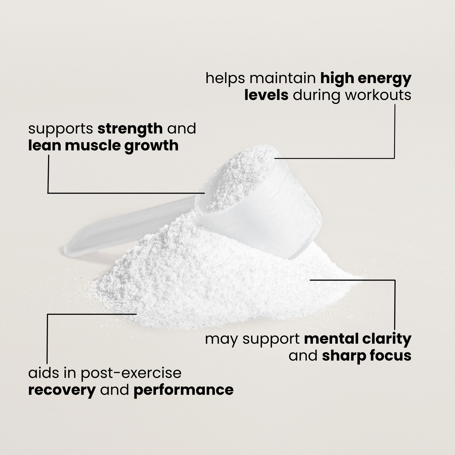 Mind + Muscle Science